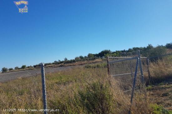 VENTA DE PARCELA EN LA ZONA VENTA EL PAVO - CADIZ