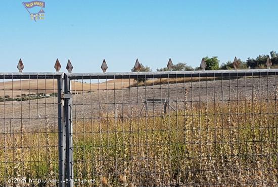 VENTA DE PARCELA EN LA ZONA VENTA EL PAVO - CADIZ