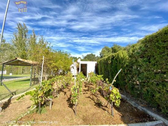 VENTA DE FINCA RUSTICA - CADIZ