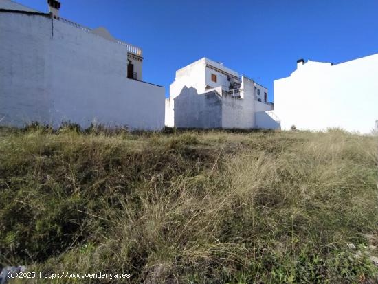 VENTA DE PARCELA ZONA PORTICHUELO - CADIZ