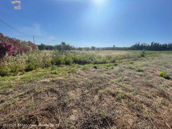 SE VENDE PARCELA EN ARCOS DE LA FRONTERA - CADIZ