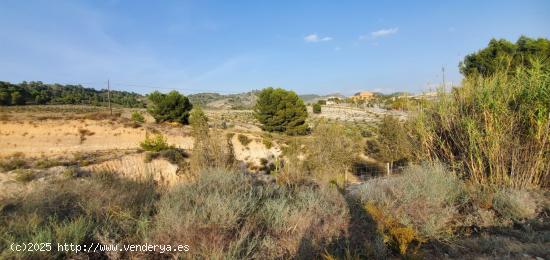 SE VENDE FINCA RUSTICA EN EL NIÑO DE MULA - MURCIA