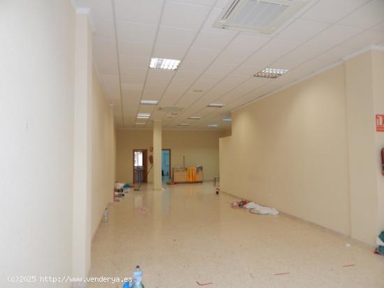 ¡¡AMPLIO LOCAL COMERCIAL  EN ALQUILER EN ONTINYENT!! - VALENCIA