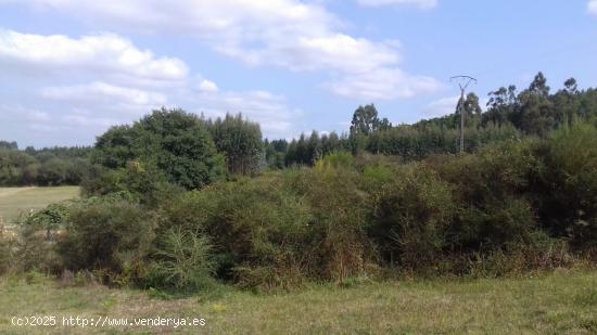 FINCA DE 3.320 M2 EDIFICABLE EN LA CARRETERA DEL AEROPUERTO - A CORUÑA