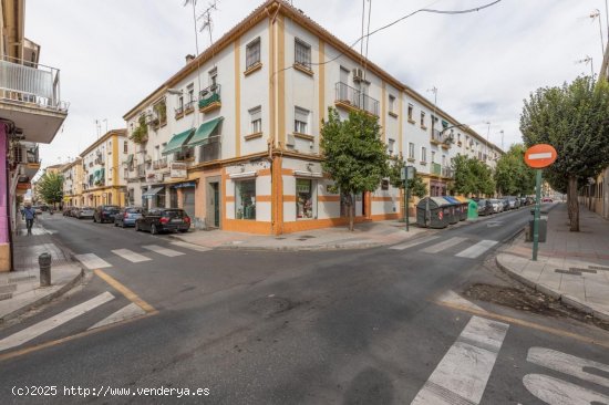  Apartamento en alquiler en Granada (Granada) 