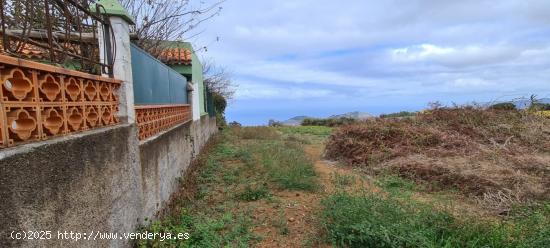 Tinercasa vende parcela mixta en Agua García, Tacoronte - SANTA CRUZ DE TENERIFE