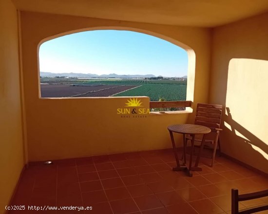  Apartamento en alquiler en Torre-Pacheco (Murcia) 