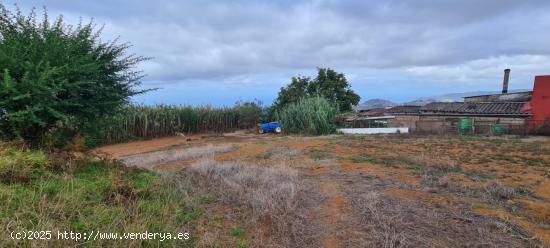 Tinercasa vende Parcela Mixta en Ravelo - SANTA CRUZ DE TENERIFE