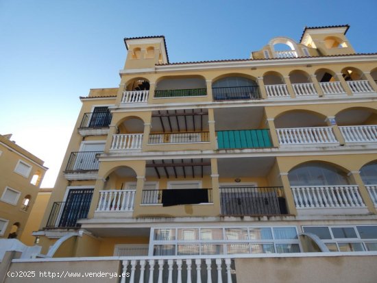  Apartamento en venta en Algorfa (Alicante) 