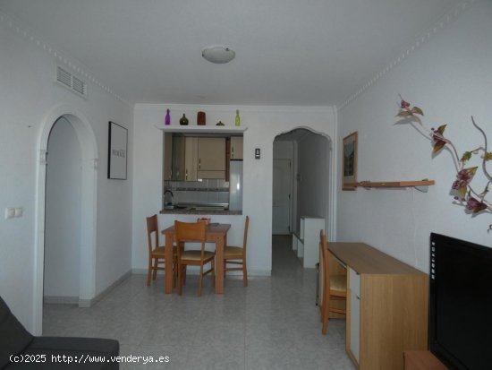 Apartamento en venta en Algorfa (Alicante)