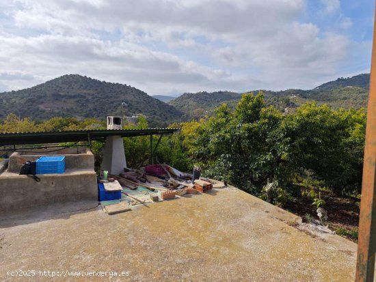 Finca en venta en Coín (Málaga)