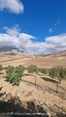 Finca en venta en Álora (Málaga)