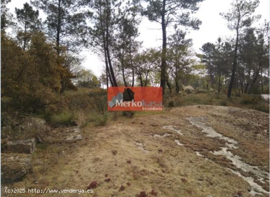 SE VENDE FINCA RUSTICA ZONA DE CASTELO - LUGO