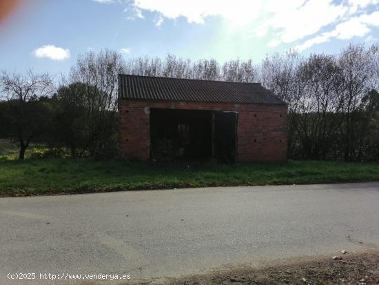 SE VENDE TERRENO CON ARBOLEDA Y UNA PEQUEÑA EDIFICACIÓN EN CASTRO DE REI - LUGO