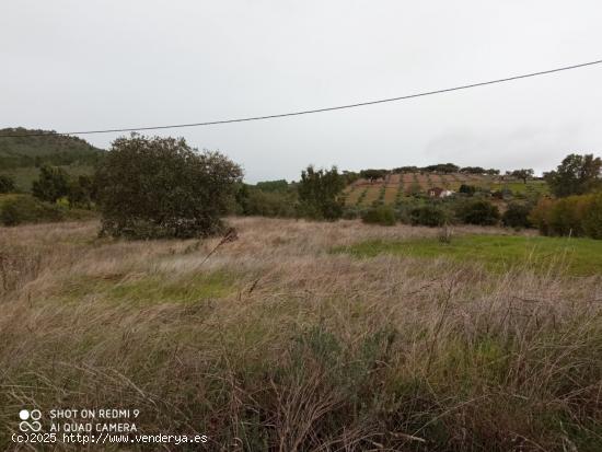  PARCELA RUSTICA EN LA CODOSERA - BADAJOZ 