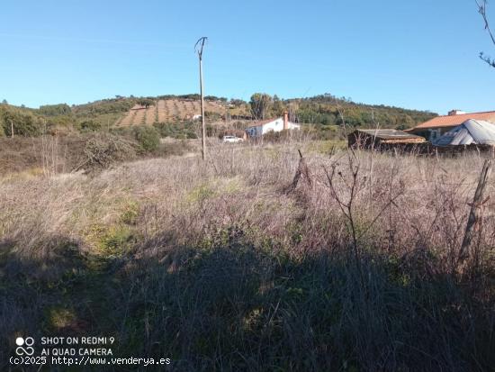 PARCELA RUSTICA EN LA CODOSERA - BADAJOZ