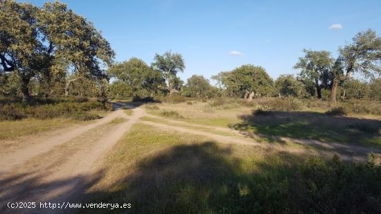  PARCELA EL MANANTÍO - BADAJOZ 