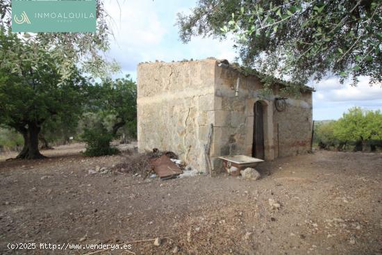  FINCA RÚSTICA EN TERMINO DE MANCOR DE LA VALL DE 42500 M2 CON CASETA DE 50 M2 EN ZONA ANEI - BALEAR 