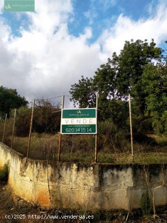  TERRENO RÚSTICO EN LLOSETA - BALEARES 