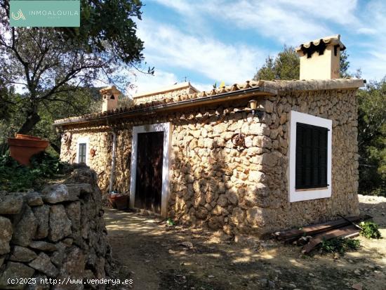  FINCA RÚSTICA EN MANCOR DE LA VALL - BALEARES 