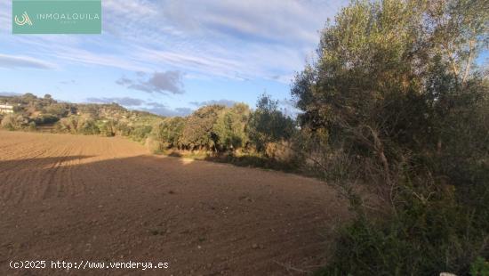 Finca edificable - BALEARES