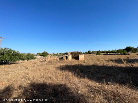  Finca rustica legal en Santa Margalida - BALEARES 