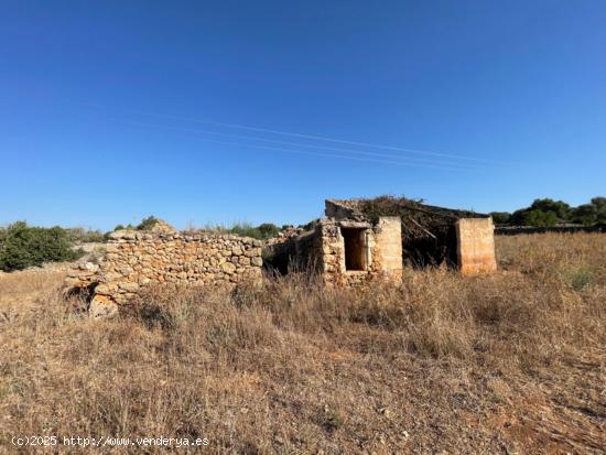 Finca rustica legal en Santa Margalida - BALEARES