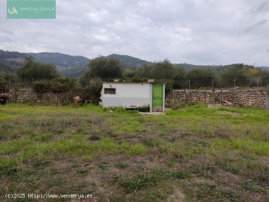  BONITA FINCA EN TÉRMINO DE SELVA - BALEARES 