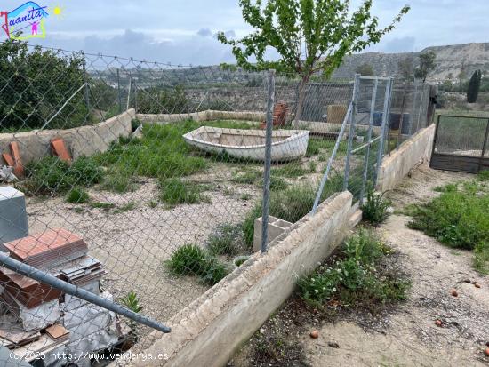 PARCELA DE TERRENO DE RECREO CON - MURCIA