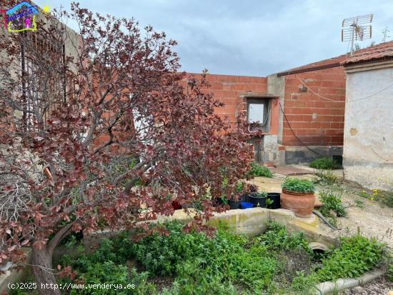 PARCELA DE TERRENO DE RECREO CON - MURCIA