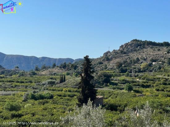 TERRENO CON RIEGO DE GOTEO EN LA SIERRA DE RICOTE - MURCIA