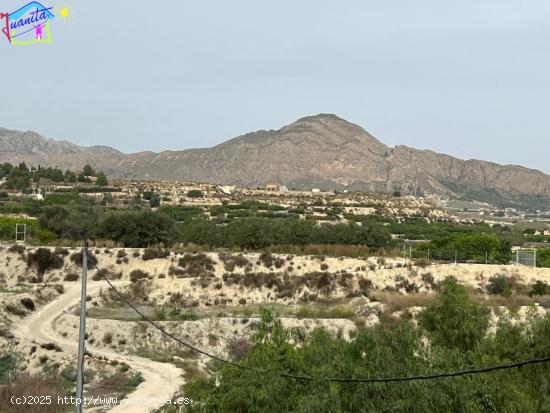  HUERTA EN LOS TOLLOS ( ARBOLEDAS ) - MURCIA 