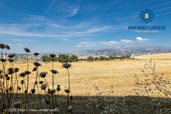 ESTUPENDO SOLAR EN LAS GABIAS - GRANADA