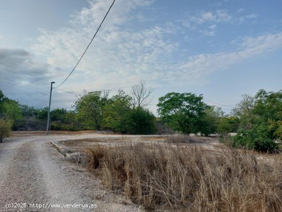 Buscando Terreno en Murcia?? - MURCIA