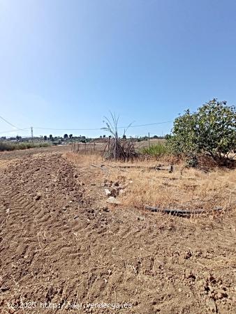 PARCELA RÚSTICA EN VILLAFRANCO DEL GUADALHORCE - MALAGA