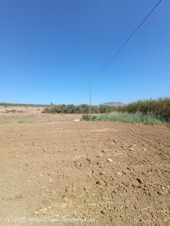 PARCELA RÚSTICA EN VILLAFRANCO DEL GUADALHORCE - MALAGA