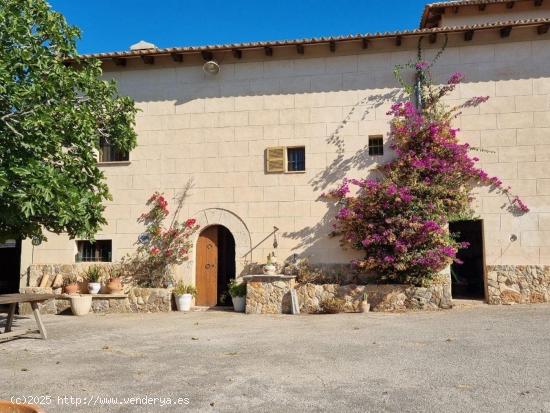 FINCA RUSTICA TOTALMENTE LEGALIZADA CON VISTAS PANORÁMICAS. - BALEARES