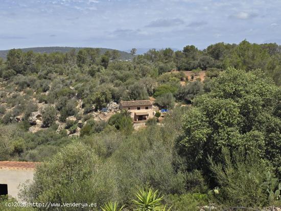 FINCA RUSTICA TOTALMENTE LEGALIZADA CON VISTAS PANORÁMICAS. - BALEARES