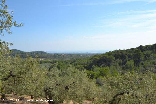 Finca Rústica en Venta en Tortosa - TARRAGONA