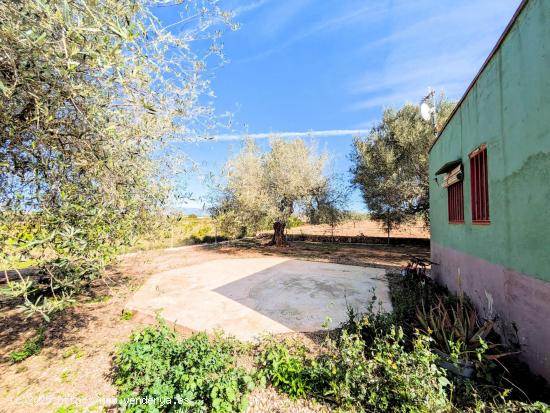 FINCA RUSTICA EN VENTA - TARRAGONA