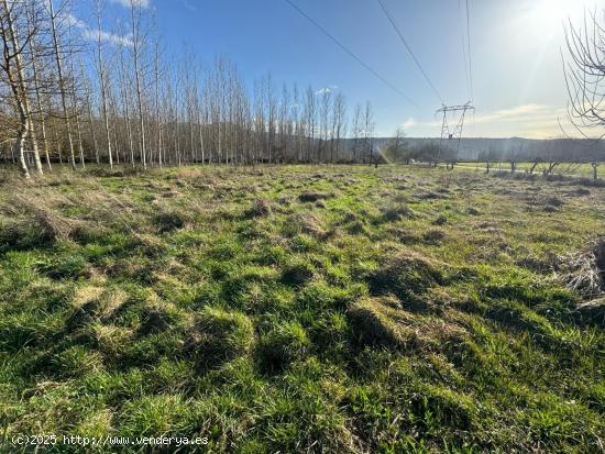 SE VENDE FINCA RÚSTICA EN DEHESAS - LEON