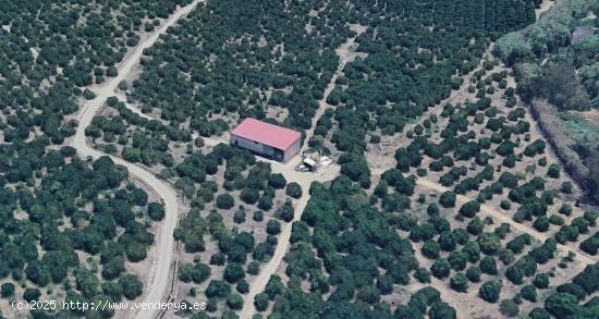 CORTIJO CON TERRENO DE 30 Ha. EN CÁRTAMA. MÁLAGA - MALAGA