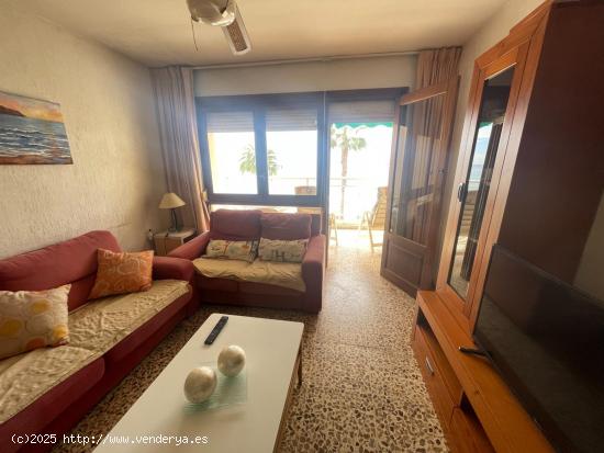 Apartamento en alquiler primera línea de playa -  Paseo de las Delicias - MURCIA