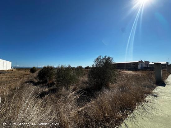 ¡OPORTUNIDAD! VENTA DE TERRENO EN POLÍGONO DE CARLET – CARRETERA DE LA CREU NEGRA - VALENCIA