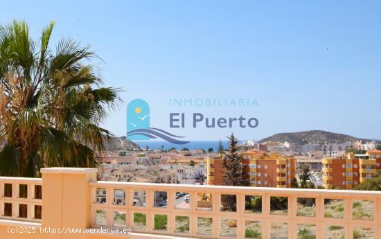 APARTAMENTO EN PLANTA BAJA CON PISCINA. REF. 795 - MURCIA