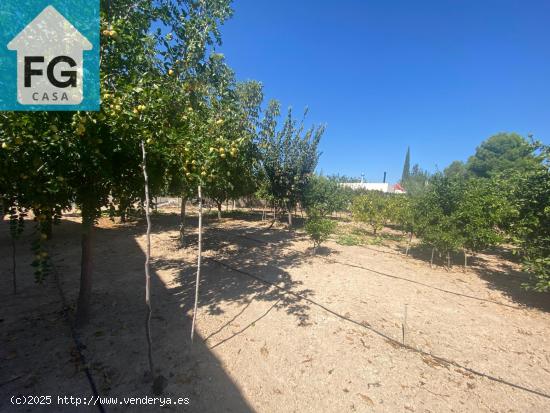 SE VENDE FINCA RUSTICA EN SANGONERA LA SECA 💰Precio140.000€ - MURCIA