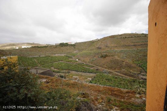 Se Vende en Las Palmas de Gran Canaria - LAS PALMAS