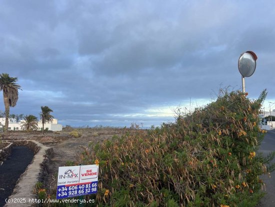 SE VENDE Solar Urbano en Guatiza, Lanzarote: ¡Potencial para Inversión Futura! - Teguise