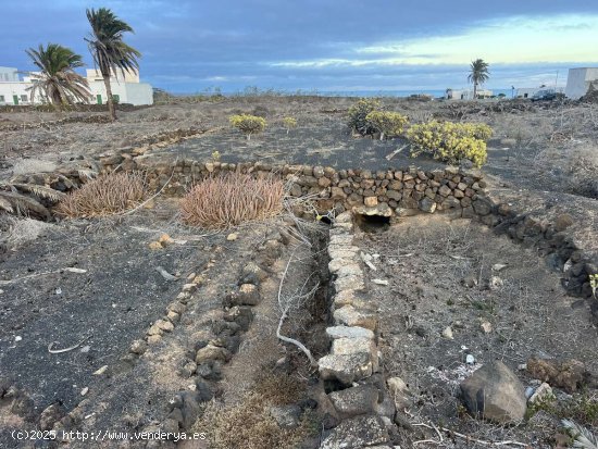 SE VENDE Solar Urbano en Guatiza, Lanzarote: ¡Potencial para Inversión Futura! - Teguise