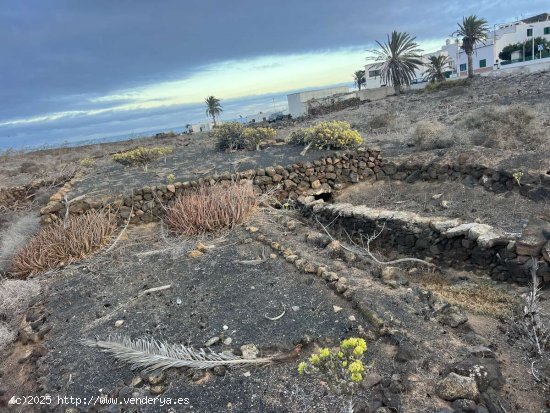 SE VENDE Solar Urbano en Guatiza, Lanzarote: ¡Potencial para Inversión Futura! - Teguise